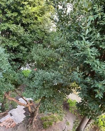 Appartement Ca' Della Carita' Venetië