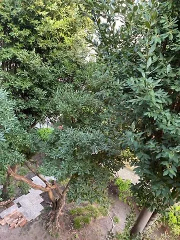 Διαμέρισμα Ca' Della Carita' Βενετία